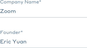 Company and founder contentful input fields.