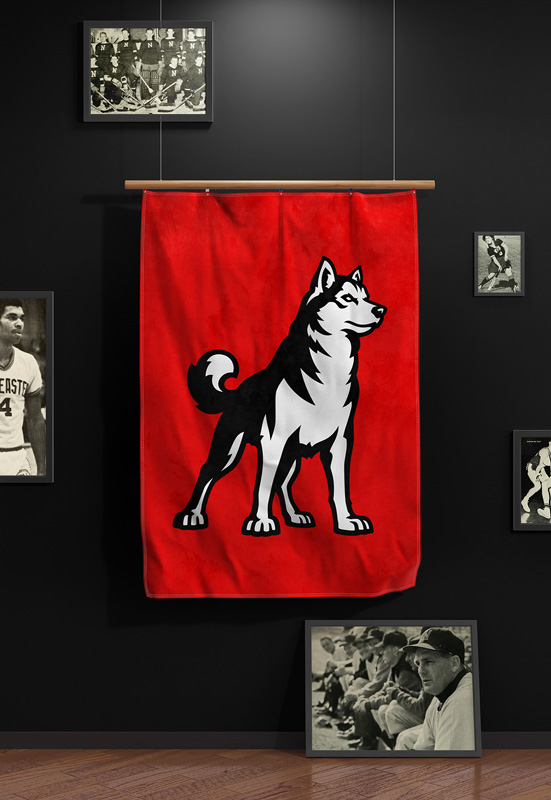 Huskies banner.