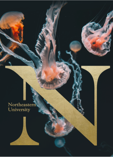 Northeastern poster with jellyfish.