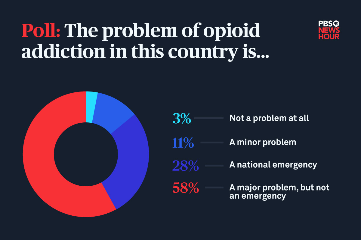 Poll from the PBS NewsHour site with a pie chart.