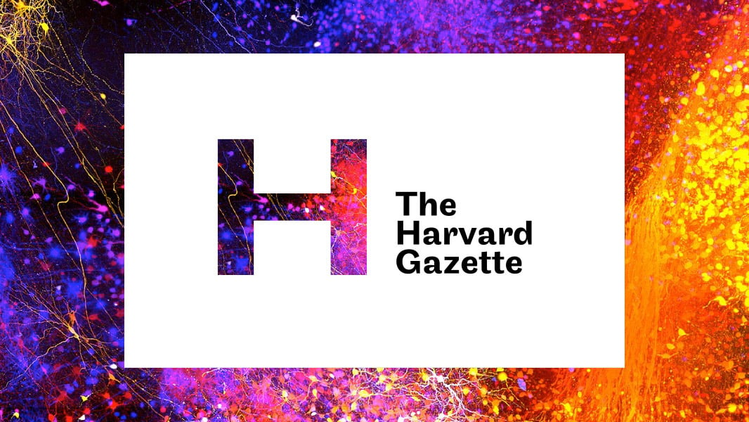 Tease image for Harvard Gazette