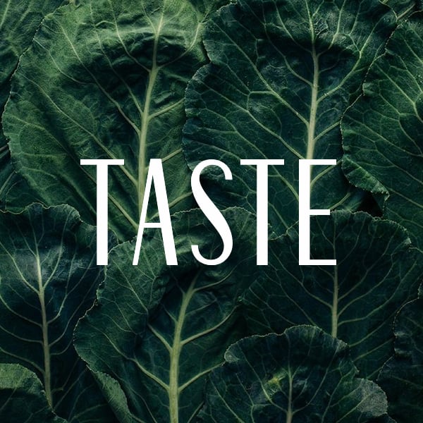 Tease image for Taste by Penguin Random House